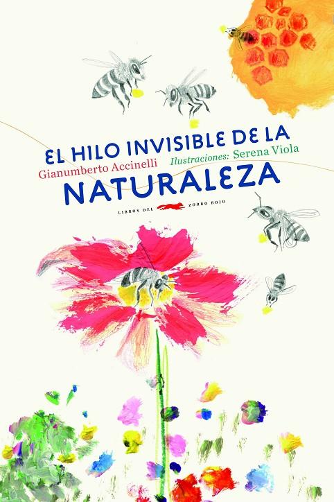 EL HILO INVISIBLE DE LA NATURALEZA | 9788494728471 | ACCINELLI, GIANUMBERTO | Galatea Llibres | Librería online de Reus, Tarragona | Comprar libros en catalán y castellano online