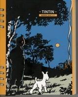 AGENDA TINTÍN 2010 | 9788484184058 | Galatea Llibres | Librería online de Reus, Tarragona | Comprar libros en catalán y castellano online