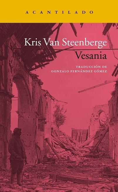 VESANIA | 9788417346935 | VAN STEENBERGE, KRIS | Galatea Llibres | Llibreria online de Reus, Tarragona | Comprar llibres en català i castellà online