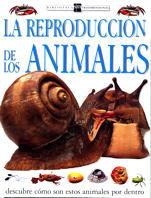 REPRODUCCION DE LOS ANIMALES, LA | 9788434860889 | BURNIE, DAVID | Galatea Llibres | Llibreria online de Reus, Tarragona | Comprar llibres en català i castellà online