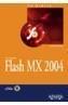 FLASH MX 2004 | 9788441517028 | ISSI CAMY, LAZARO | Galatea Llibres | Llibreria online de Reus, Tarragona | Comprar llibres en català i castellà online