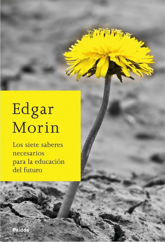 SIETE SABERES NECESARIOS PARA LA EDUCACION DEL FUTURO | 9788449324901 | MORIN, EDGAR | Galatea Llibres | Llibreria online de Reus, Tarragona | Comprar llibres en català i castellà online