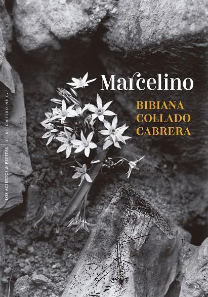MARCELINO | 9788410476431 | COLLADO CABRERA, BIBIANA | Galatea Llibres | Librería online de Reus, Tarragona | Comprar libros en catalán y castellano online