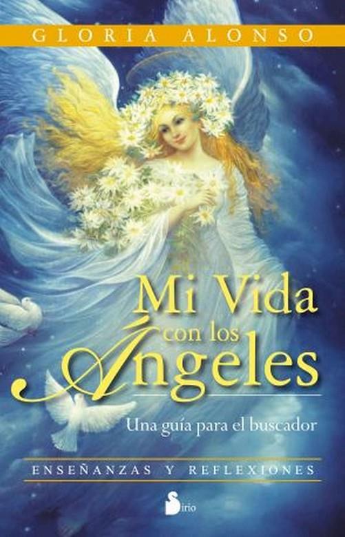 CALENDARIO 2011 LOS SERES ALADOS | 9788478086962 | WOLK, SHEILA | Galatea Llibres | Librería online de Reus, Tarragona | Comprar libros en catalán y castellano online