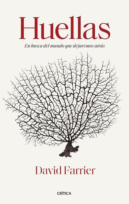 HUELLAS | 9788491994572 | FARRIER, DAVID | Galatea Llibres | Llibreria online de Reus, Tarragona | Comprar llibres en català i castellà online