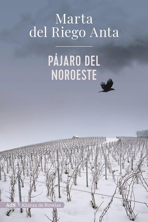PÁJARO DEL NOROESTE | 9788413620558 | DEL RIEGO, MARTA | Galatea Llibres | Librería online de Reus, Tarragona | Comprar libros en catalán y castellano online