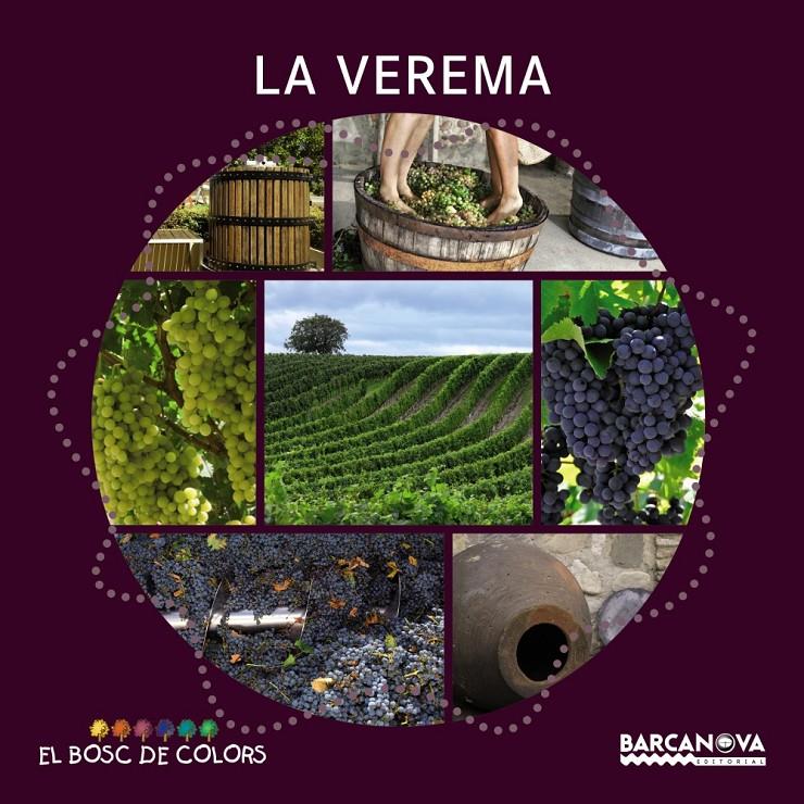 LA VEREMA (BOSC DE COLORS) | 9788448933944 | VV.AA. | Galatea Llibres | Librería online de Reus, Tarragona | Comprar libros en catalán y castellano online
