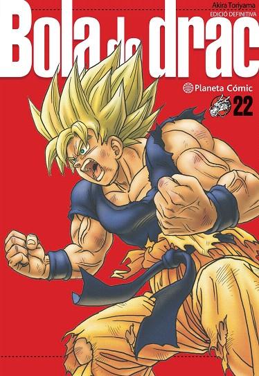 BOLA DE DRAC 22/34 DEFINITIVA | 9788413419046 | TORIYAMA, AKIRA | Galatea Llibres | Llibreria online de Reus, Tarragona | Comprar llibres en català i castellà online