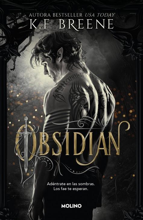 LOS FAE DE LAS SOMBRAS 1 - OBSIDIAN | 9788427257290 | BREENE, K.F. | Galatea Llibres | Librería online de Reus, Tarragona | Comprar libros en catalán y castellano online