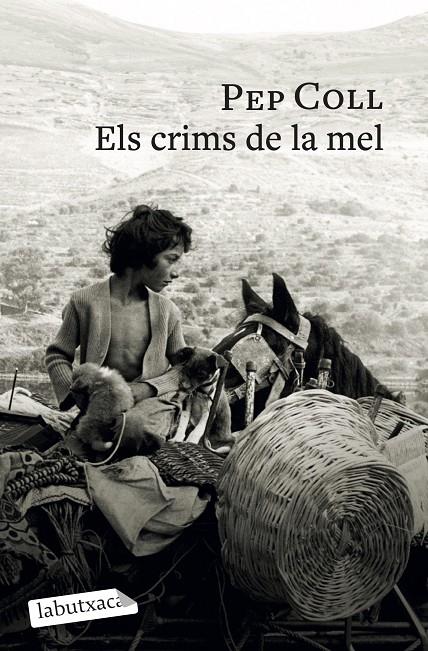 ELS CRIMS DE LA MEL | 9791387802196 | COLL, PEP | Galatea Llibres | Llibreria online de Reus, Tarragona | Comprar llibres en català i castellà online