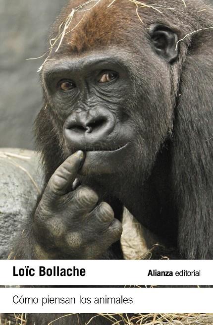 CÓMO PIENSAN LOS ANIMALES | 9788411489461 | BOLLACHE, LOÏC | Galatea Llibres | Librería online de Reus, Tarragona | Comprar libros en catalán y castellano online