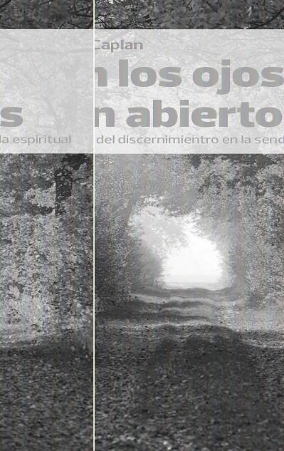 CON LOS OJOS BIEN ABIERTOS | 9788472457607 | CAPLAN, MARIANA | Galatea Llibres | Librería online de Reus, Tarragona | Comprar libros en catalán y castellano online