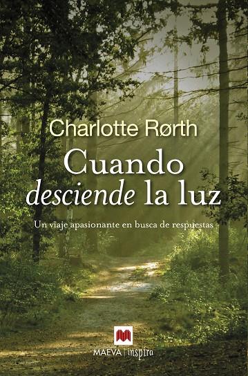 CUANDO DESCIENDE LA LUZ | 9788416690435 | RORTH, CHARLOTTE | Galatea Llibres | Librería online de Reus, Tarragona | Comprar libros en catalán y castellano online