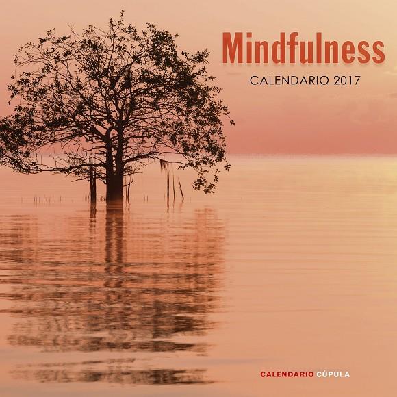 CALENDARIO MINDFULNESS 2017 | 9788448022662 | Galatea Llibres | Librería online de Reus, Tarragona | Comprar libros en catalán y castellano online