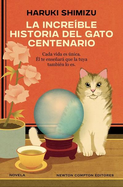 LA INCREÍBLE HISTORIA DEL GATO CENTENARIO | 9791388259517 | SHIMIZU, HARUKI | Galatea Llibres | Llibreria online de Reus, Tarragona | Comprar llibres en català i castellà online