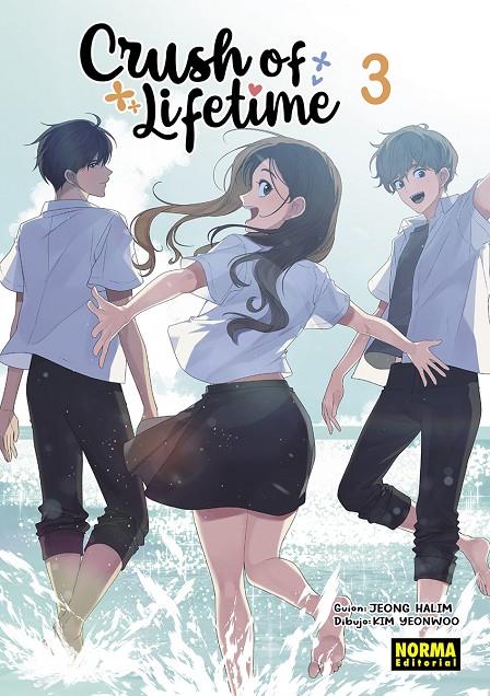 CRUSH OF LIFETIME 3 | 9788467958188 | JEONG, HALIM/KIM, YEONWOO | Galatea Llibres | Librería online de Reus, Tarragona | Comprar libros en catalán y castellano online