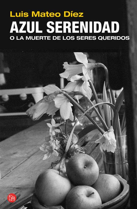 AZUL SERENIDAD | 9788466318785 | DÍEZ, LUIS MATEO | Galatea Llibres | Librería online de Reus, Tarragona | Comprar libros en catalán y castellano online