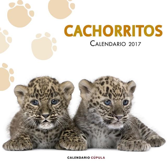 CALENDARIO CACHORRITOS 2017 | 9788448022617 | AA. VV. | Galatea Llibres | Librería online de Reus, Tarragona | Comprar libros en catalán y castellano online