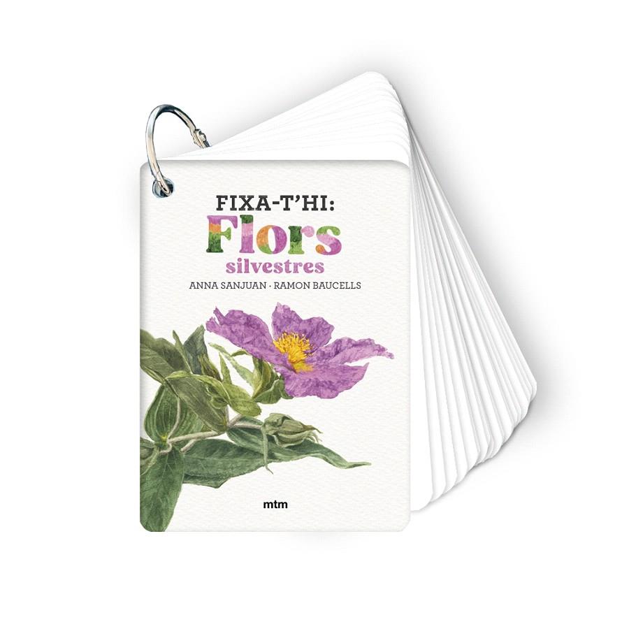 FIXA-T'HI: FLORS SILVESTRES | 9788410407589 | SANJUAN LLORENS, ANNA/BAUCELLS COLOMER, RAMON | Galatea Llibres | Llibreria online de Reus, Tarragona | Comprar llibres en català i castellà online