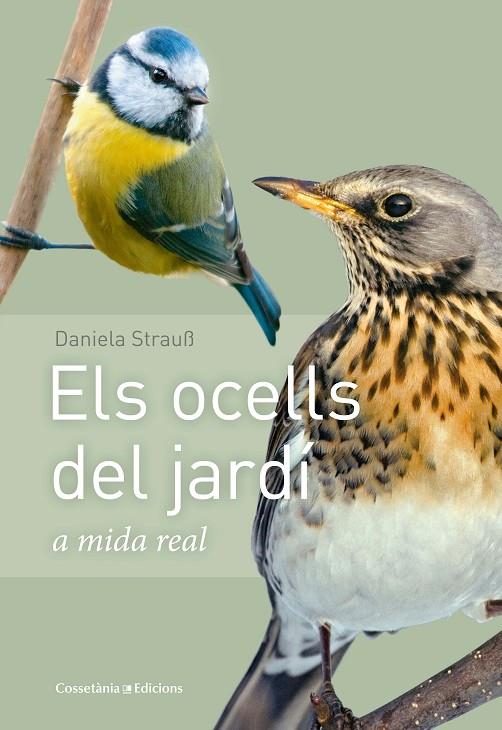 ELS OCELLS DEL JARDÍ A MIDA REAL | 9788490347461 | STRAUSS, DANIELA | Galatea Llibres | Llibreria online de Reus, Tarragona | Comprar llibres en català i castellà online
