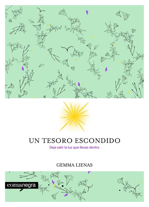 UN TESORO ESCONDIDO | 9788416605354 | LIENAS, GEMMA | Galatea Llibres | Librería online de Reus, Tarragona | Comprar libros en catalán y castellano online