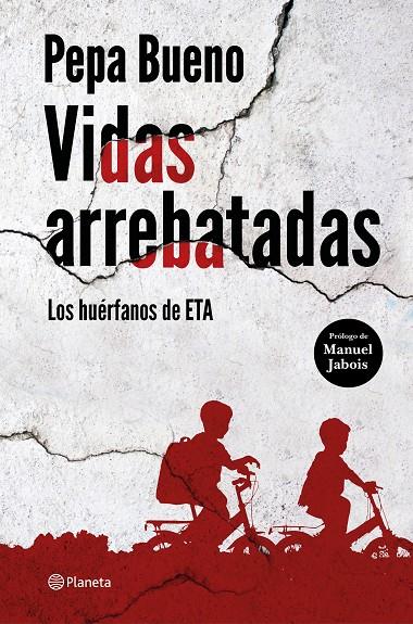 VIDAS ARREBATADAS | 9788408226765 | BUENO, PEPA | Galatea Llibres | Llibreria online de Reus, Tarragona | Comprar llibres en català i castellà online