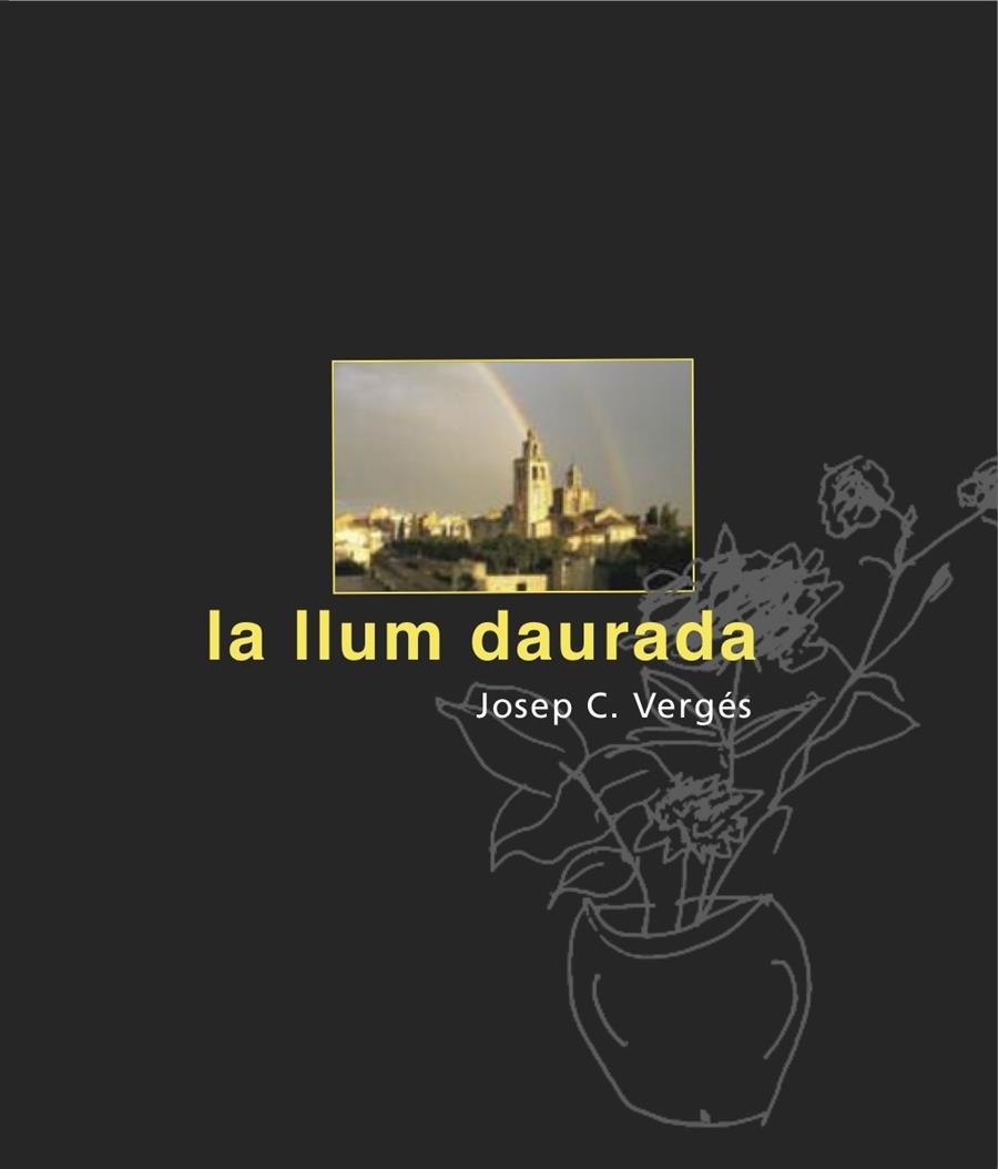 LA LLUM DAURADA | 9788492607990 | VERGÉS, JOSEP | Galatea Llibres | Librería online de Reus, Tarragona | Comprar libros en catalán y castellano online