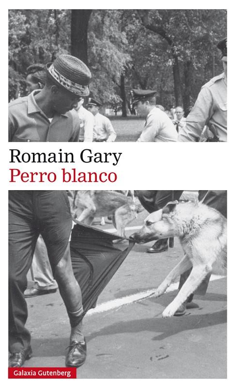 PERRO BLANCO | 9788417355586 | GARY, ROMAIN | Galatea Llibres | Librería online de Reus, Tarragona | Comprar libros en catalán y castellano online