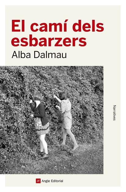EL CAMÍ DELS ESBARZERS | 9788417214562 | DALMAU, ALBA | Galatea Llibres | Librería online de Reus, Tarragona | Comprar libros en catalán y castellano online