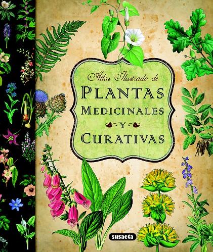 ATLAS ILUSTRADO DE PLANTAS MEDICINALES Y CURATIVAS | 9788467712575 | VV.AA. | Galatea Llibres | Librería online de Reus, Tarragona | Comprar libros en catalán y castellano online