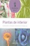 PLANTAS DE INTERIOR | 9788480165761 | LAROUSSE | Galatea Llibres | Librería online de Reus, Tarragona | Comprar libros en catalán y castellano online