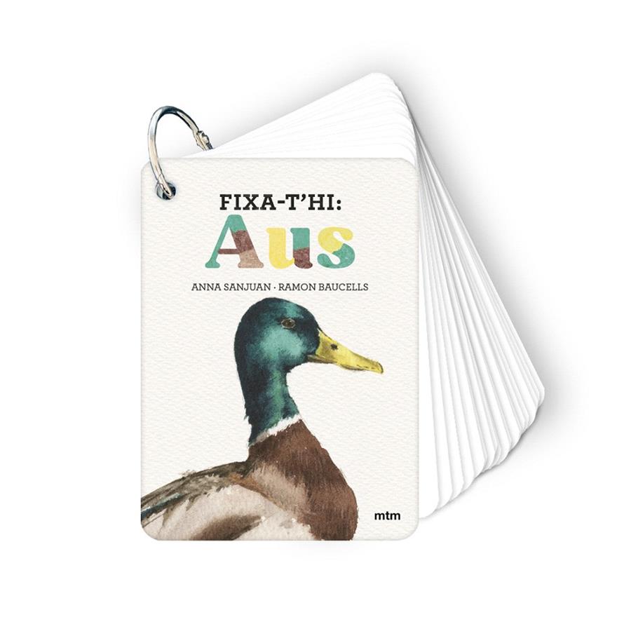 FIXA-T'HI: AUS | 9788410407640 | SANJUAN LLORENS, ANNA/BAUCELLS COLOMER, RAMON | Galatea Llibres | Llibreria online de Reus, Tarragona | Comprar llibres en català i castellà online