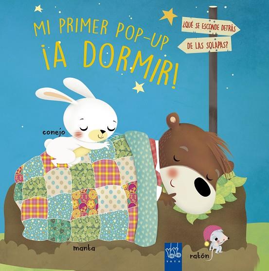 A DORMIR! MI PRIMER POP-UP | 9788408210894 | Galatea Llibres | Librería online de Reus, Tarragona | Comprar libros en catalán y castellano online