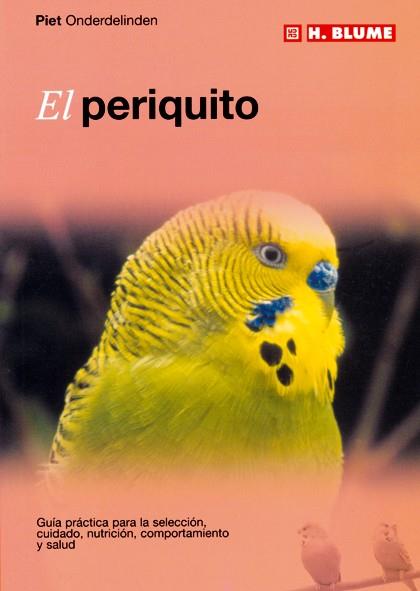 PERIQUITO, EL | 9788489840836 | ONDERDELINDEN, PIET | Galatea Llibres | Librería online de Reus, Tarragona | Comprar libros en catalán y castellano online