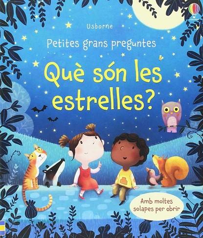 QUE SÓN LES ESTRELLES? | 9781474946841 | DAYNES KATIE | Galatea Llibres | Llibreria online de Reus, Tarragona | Comprar llibres en català i castellà online