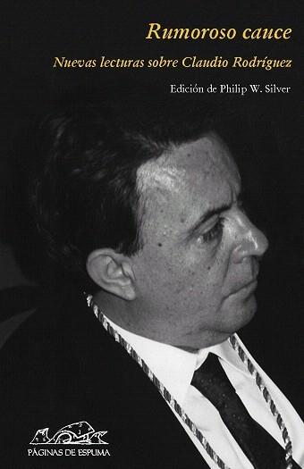 RUMOROSO CAUCE | 9788483930373 | SILVER, PHILIP W. | Galatea Llibres | Llibreria online de Reus, Tarragona | Comprar llibres en català i castellà online