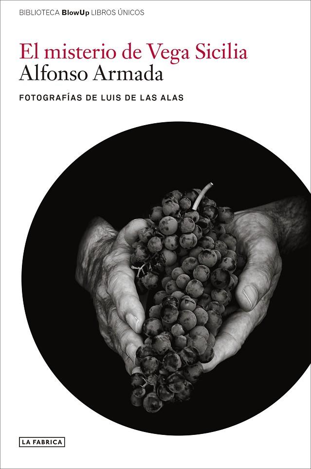 EL MISTERIO DE VEGA SICILIA | 9788418934575 | ARMADA, ALFONSO | Galatea Llibres | Llibreria online de Reus, Tarragona | Comprar llibres en català i castellà online