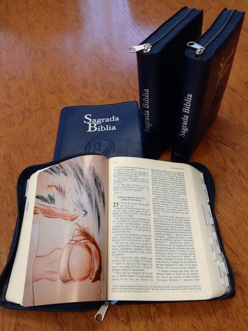 SAGRADA BIBLIA. VERSION OFICIAL DE LA CONFERENCIA EPISCOPAL | 9788422019312 | Galatea Llibres | Librería online de Reus, Tarragona | Comprar libros en catalán y castellano online