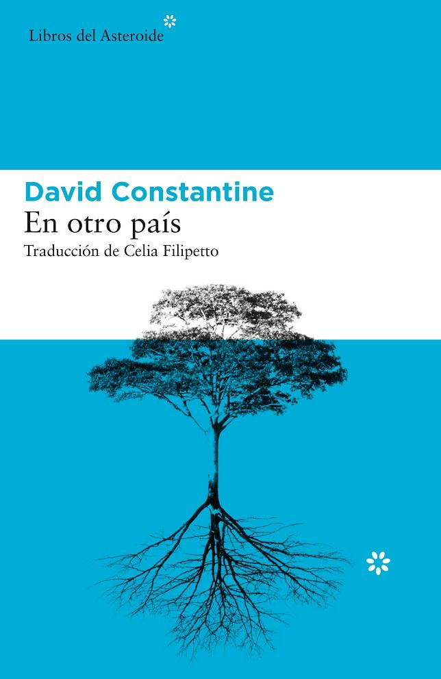 EN OTRO PAÍS | 9788417977016 | CONSTANTINE, DAVID | Galatea Llibres | Librería online de Reus, Tarragona | Comprar libros en catalán y castellano online