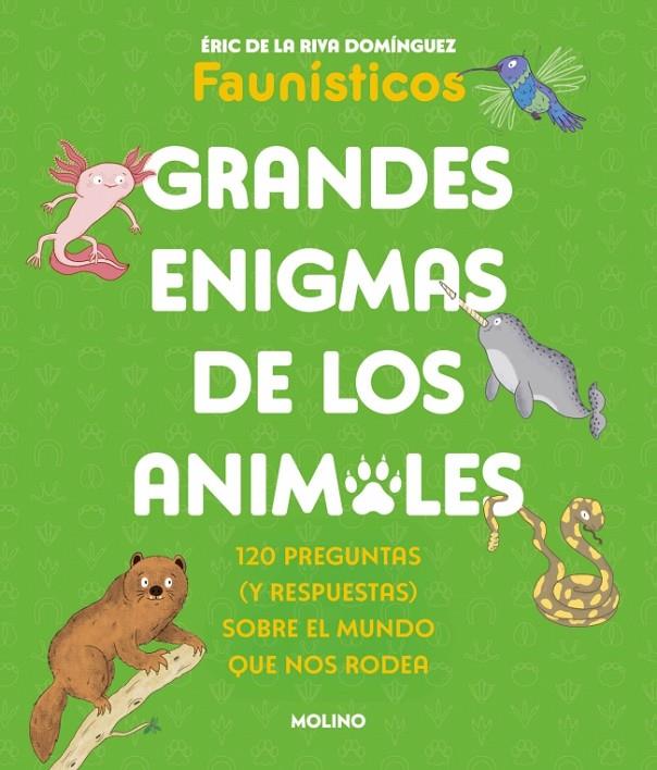 GRANDES ENIGMAS DE LOS ANIMALES | 9788427253698 | DE LA RIVA DOMÍNGUEZ, ÉRIC | Galatea Llibres | Llibreria online de Reus, Tarragona | Comprar llibres en català i castellà online