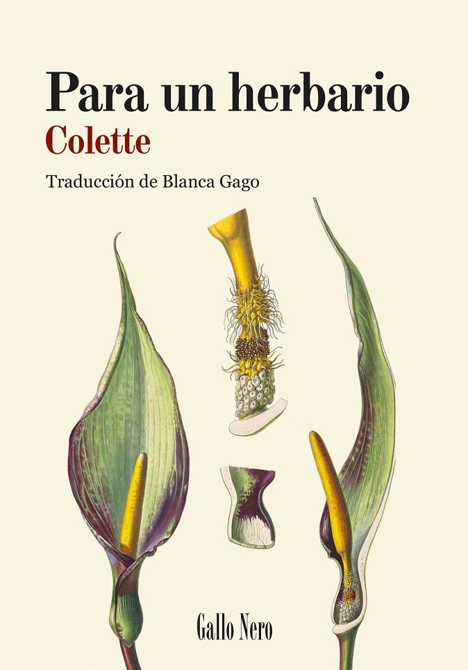 PARA UN HERBARIO | 9788419168887 | COLETTE, SIDONIE-GABRIELLE | Galatea Llibres | Librería online de Reus, Tarragona | Comprar libros en catalán y castellano online