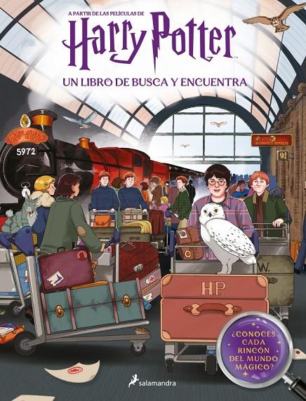 HARRY POTTER. UN LIBRO DE BUSCA Y ENCUENTRA (HARRY POTTER) | 9788419868114 | ROWLING, J.K. | Galatea Llibres | Llibreria online de Reus, Tarragona | Comprar llibres en català i castellà online