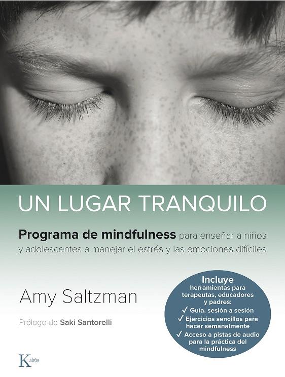UN LUGAR TRANQUILO | 9788499887562 | SALTZMAN, AMY | Galatea Llibres | Librería online de Reus, Tarragona | Comprar libros en catalán y castellano online