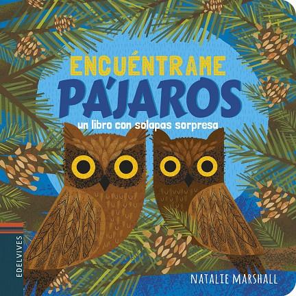 PÁJAROS | 9788414025154 | MARSHALL, NATALIE | Galatea Llibres | Librería online de Reus, Tarragona | Comprar libros en catalán y castellano online