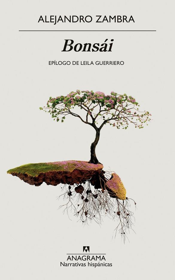 BONSÁI | 9788433999559 | ZAMBRA, ALEJANDRO | Galatea Llibres | Llibreria online de Reus, Tarragona | Comprar llibres en català i castellà online