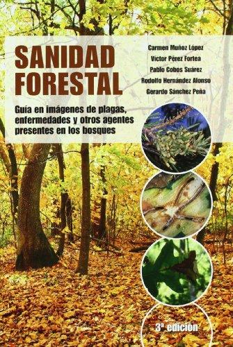 SANIDAD FORESTAL | 9788484764236 | COBOS SUAREZ, PABLO/HERNANDEZ ALONSO, RODOLFO/MUÑOZ LOPEZ, CARMEN/PEREZ FORTEA, VICTORIANO/SANCHEZ P | Galatea Llibres | Librería online de Reus, Tarragona | Comprar libros en catalán y castellano online