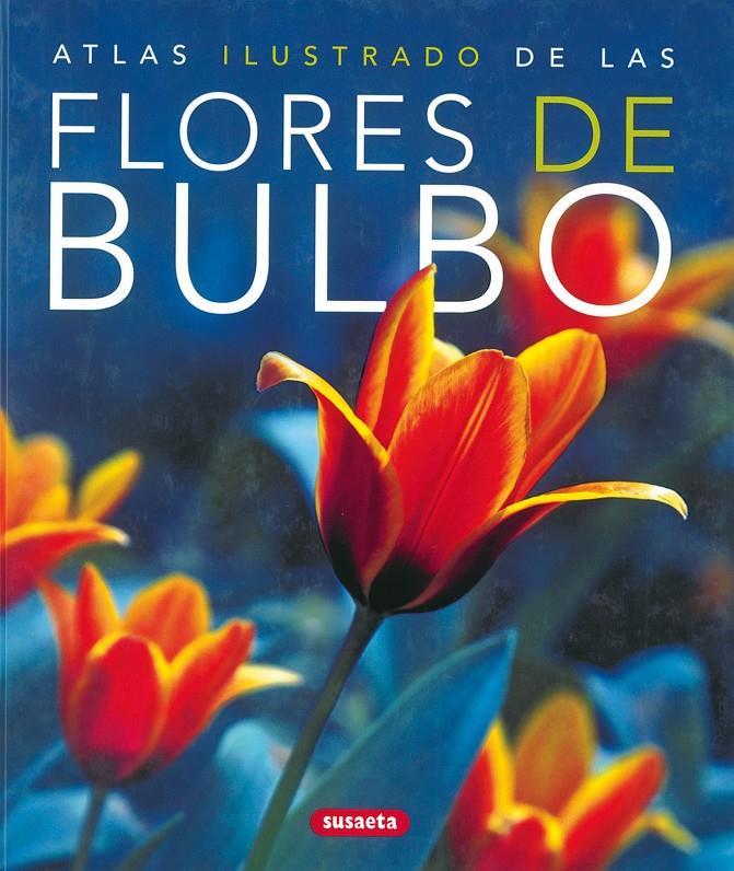 FLORES DE BULBO | 9788430570324 | AA.VV. | Galatea Llibres | Librería online de Reus, Tarragona | Comprar libros en catalán y castellano online
