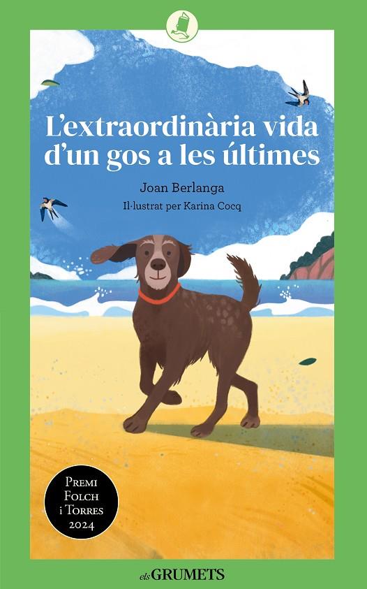 L'EXTRAORDINÀRIA VIDA D'UN GOS A LES ÚLTIMES | 9788424677893 | BERLANGA SARRASECA, JOAN | Galatea Llibres | Llibreria online de Reus, Tarragona | Comprar llibres en català i castellà online