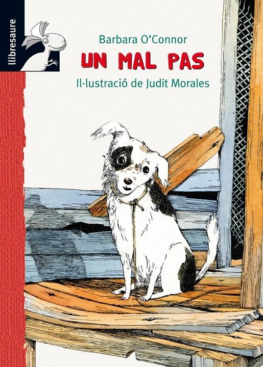MAL PAS, UN | 9788479428228 | O'CONNOR, BARBARA | Galatea Llibres | Llibreria online de Reus, Tarragona | Comprar llibres en català i castellà online