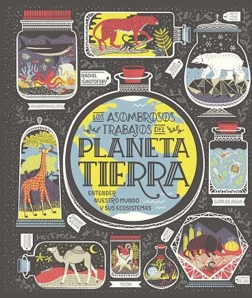 PLANETA TIERRA | 9788417651794 | IGNOTOFSKY, RACHEL | Galatea Llibres | Llibreria online de Reus, Tarragona | Comprar llibres en català i castellà online